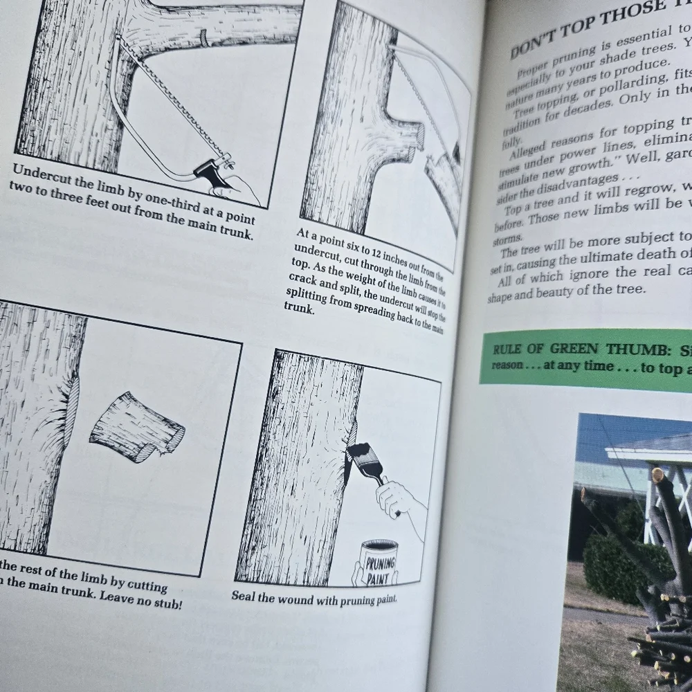 Neil Sperry's Complete Guide To Texas Gardening, hardcover - Picture 9 of 16